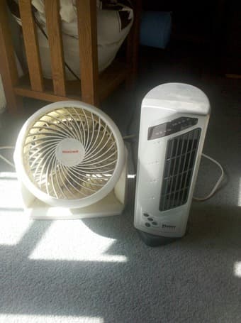 Fans $5 1