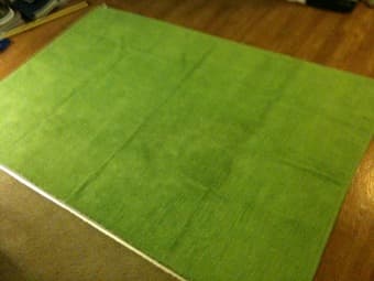 Bright Green Area Rug - $20 1