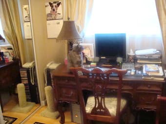 Victorian Style Desk 1