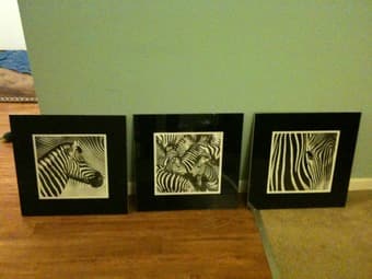 3 Zebra Prints in Nice Glass Frames - $35 1