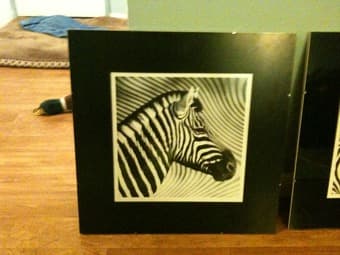 3 Zebra Prints in Nice Glass Frames - $35 2