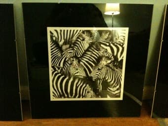 3 Zebra Prints in Nice Glass Frames - $35 3