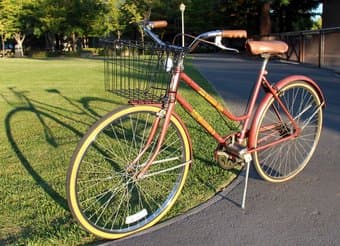 2 bikes for sale: both for $225 2