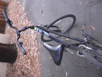 $120 Giant Bike 3