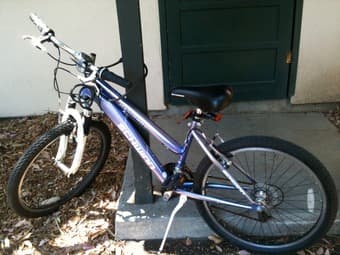 $100 women's mountain bike (including lock and light) 1
