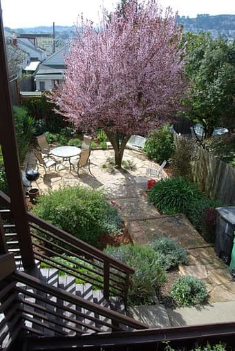 SF: $1250 Large, bright room in a Victorian - HUGE backyard 3