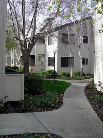 $550 separate room w/bath in 2B/2B till mid-Jan & monthly lease option 1
