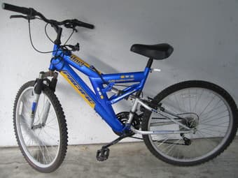 Nice Bicycle for only $65 1