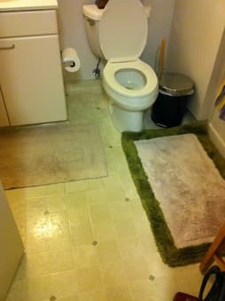 Set of 2 bathroom rugs - $7 1