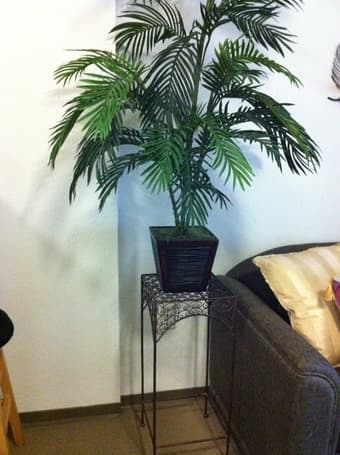 Decorative plant with its own 3.5 foot metal stand - $25 1
