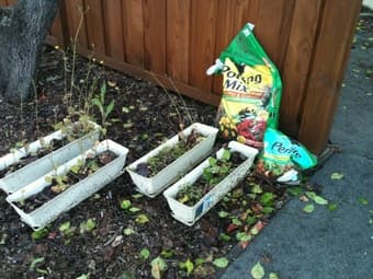 4 plant boxes, perlite, and potting mix (free) 1