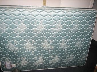 Full mattress - $50 1