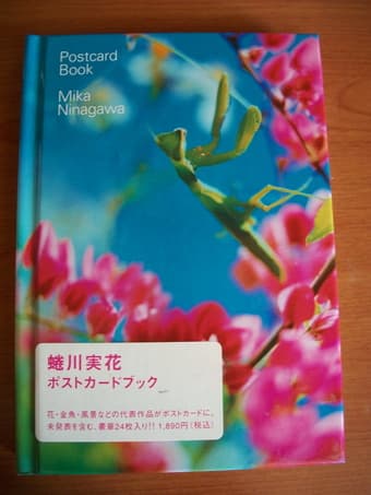 Japanese Postcard Book 1