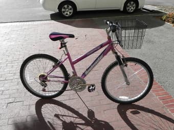 Woman's bike 1