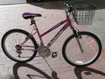 Woman's bike 2