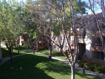 mountain View apt. great deal $650 1