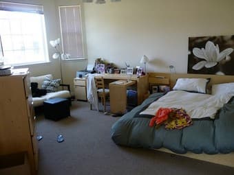 Junior Master Bedroom for rent (July 1 - Sept 22) 1