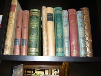 Old Books in original German (Alt-Deutsch), Goethe, Schiller, etc 1