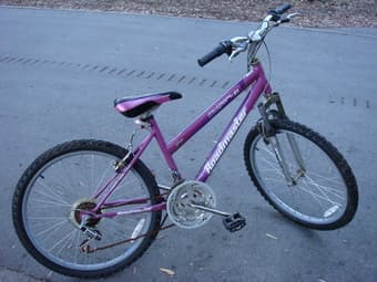 Women’s Bike (with lock) almost not used. $60 1