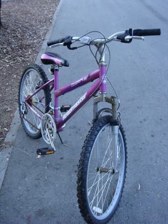 Women’s Bike (with lock) almost not used. $60 2