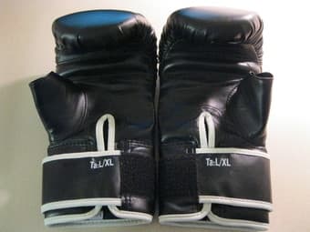 Everlast Boxing Gloves - $5 2