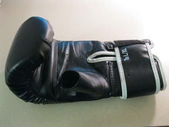 Everlast Boxing Gloves - $5 3