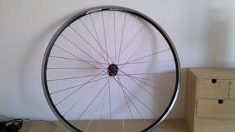 Sell: Alex Rims, Front Rim: R450 622x14      $35 OBO 1