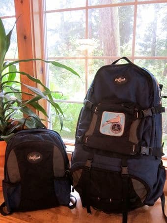 Eagle Creek Travel Backpack, w/ Detachable Daypack - $85 1