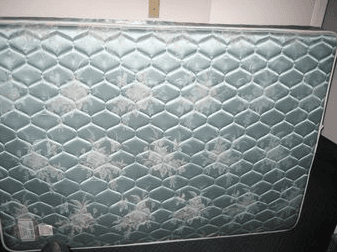 Full-size firm mattress - Clean and in very good shape/condition. $50. 1