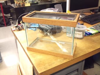 Terrarium (2 gallon) 1