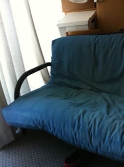 Great Futon and Plush Mattress 2