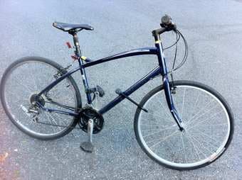 Great Globe bike for $225 1