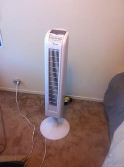 "Hawaiin Breeze" Fan 2