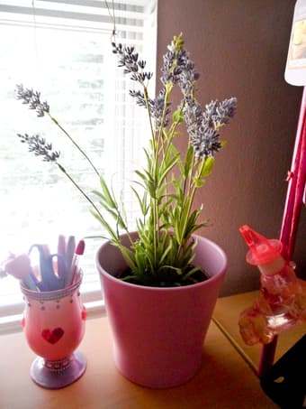 Fake but authentic looking flowers with pots/vases ! 2