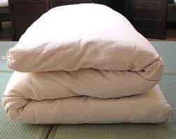Futon Mattress selling for 50/- 1