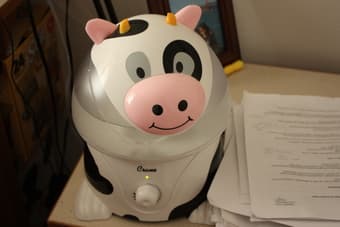 moving sale- cute humidifier $17; yoga mat + ball + air pump  $13; 1