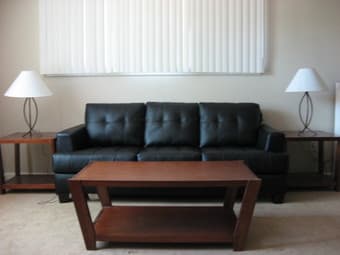 Moving Sale: Sofa, Tables, Bed, Futon, much more... 1