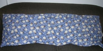 long pillow $5 1