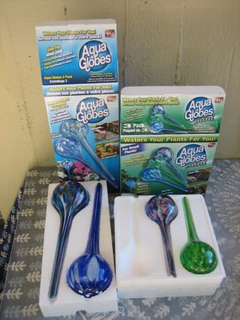 Aqua bulbs 1