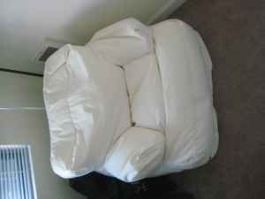 Flip Lounger (Chair/Lounger) - $90 (OBO) 1