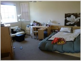 Junior Master Bedroom for rent (Sept 1 - Sept 21) 1