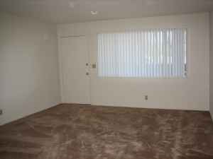 $1295 Lg Upstairs STUDIO, Move-In 10/05!! (mountain view downtown) 3