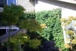 $825 Spacious 16 X 12 Rm in 4bd/2ba house (palo alto) 3