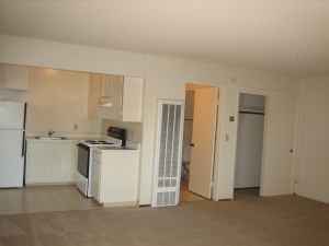 $1295 Lg Upstairs STUDIO, Move-In 10/01!! (mountain view) 2