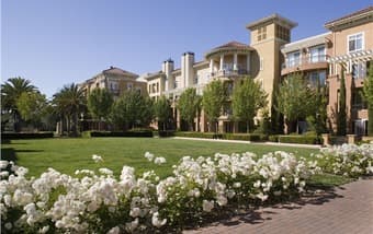 $1600 luxury 1 bedroom apt near Cisco, great location (sublet Oct-Jan) 3