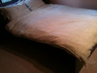Queen Size Bed (Mattress + Frame), $350 1