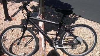 Marin Pacific Trail Hybrid - Brand New $300 1