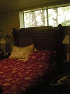 $995 Room for rent in large house near campus -7bdrs 6.5 bath 3