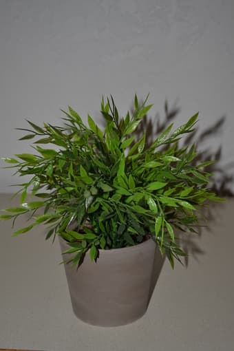 IKEA decorative plant with vase 1