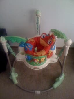 RainForest Jumperoo ($40) 1